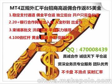 長興華泰投資咨詢有限公司