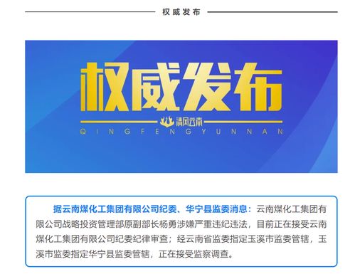 云南煤化工集團戰略投資管理部原副部長楊勇接受審查調查