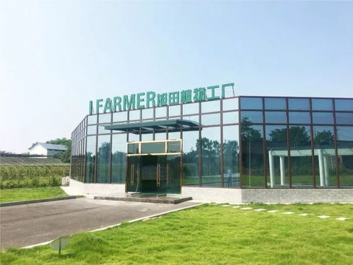 總投資約800萬,陜西旭田植物工廠在渝建成投產(chǎn)