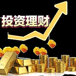 金幣投資宣傳冊圖片