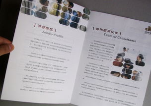 咨詢公司畫冊設計 圖片清晰的商務咨詢畫冊設計 投資管理畫冊設計 公司樣本設計 企業畫冊設計