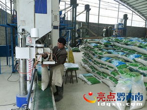 晴隆 總投資800萬元琳隆薏仁米加工廠建成投產
