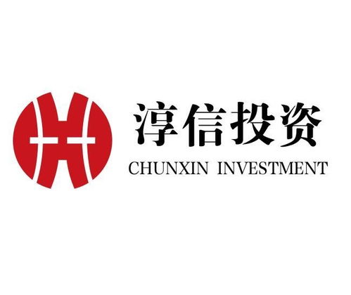 武漢淳信投資管理